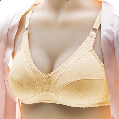 Original Galaxy/Triumph (Doreen Bra) Nylon Plain Light Weight Full Cup Bra